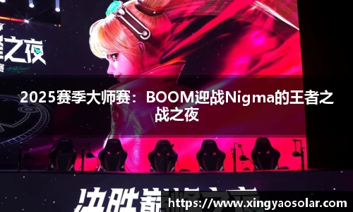 2025赛季大师赛：BOOM迎战Nigma的王者之战之夜